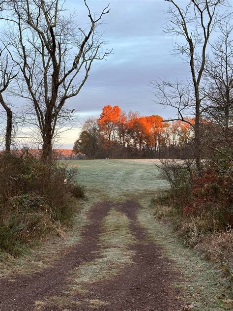 Crow's Nest: The show isn't over! - Natural Lands