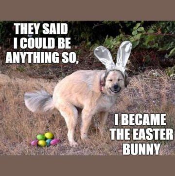 50+ Funny Easter Bunny Memes 2024 To Make Anyone Hop with Laughter