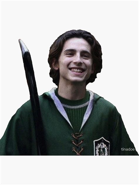 "Timothee Chalamet as Regulus Black" Sticker by tinadoe | Redbubble