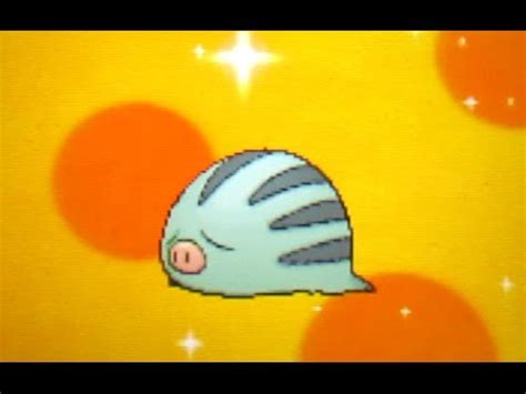 [LIVE!] Shiny Swinub hatched after 154 Eggs on Pokemon Alpha Sapphire ...