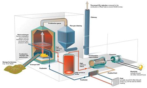 Renewable energies: BIOMASS ENERGY