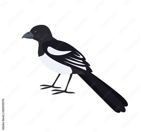 Cartoon magpie icon on white background. Stock Vector | Adobe Stock