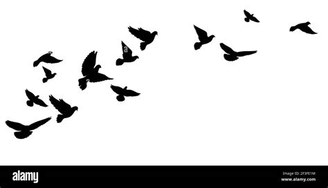 Flock Of Doves Silhouette