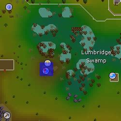 Lumbridge Swamp Caves | 2007scape Wiki | Fandom powered by Wikia