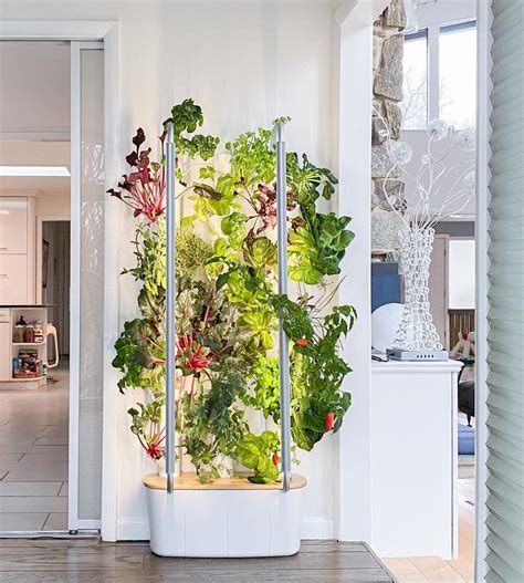 Indoor hydroponic garden ideas - RayaGarden