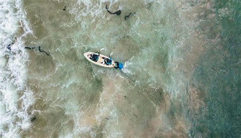 Kayak Tour of La Jolla Ecological Reserve San Diego