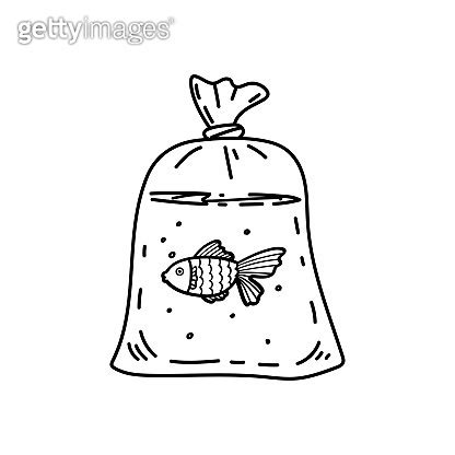 Cute little goldfish swimming in transparent bag 이미지 (1405652851) - 게티이미지뱅크