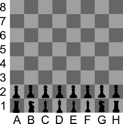 How To Set Up A Chess Board | liewmeileng