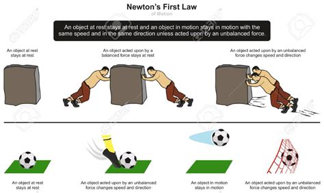 Newton’s First Law of Motion infographic diagram with examples of stone and football at rest and ...