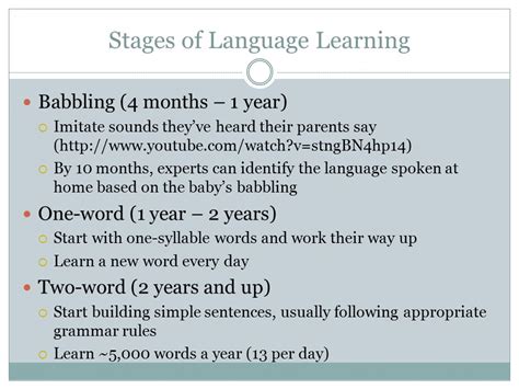 chomsky language acquisition theory pdf