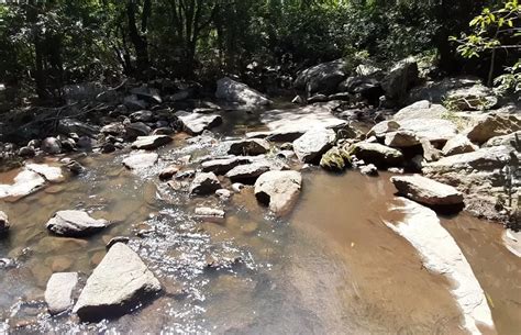 Kallar Vattiyar Water Falls Munnar