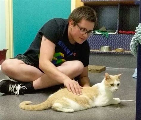 Teen Reads ‘Harry Potter’ Books To Blind Shelter Cat Every Day - The Dodo