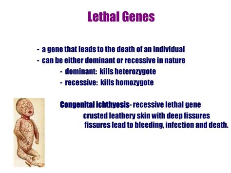 HUMAN HEREDITY. - ppt download