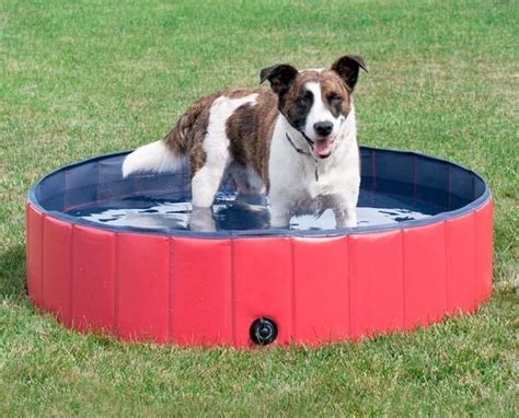 Puppy Pool - The Portable Pet Pool – jungole | Dog pool, Puppy pool, Dog swimming pools