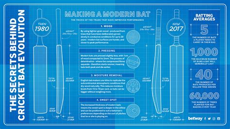 Why size doesn't matter when it comes to modern cricket bats