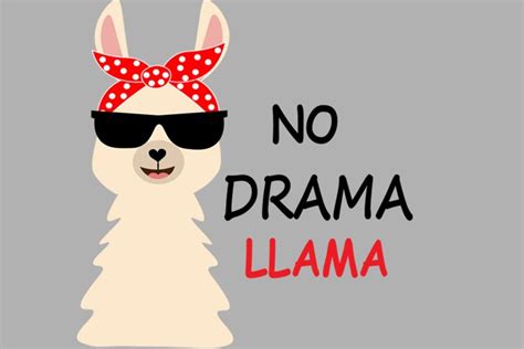 No drama llama svg, Cute Llama SVG Cut Files, PNG llamas cli