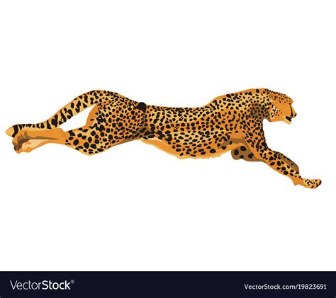 Running Cheetah Vector Art Illustration. Download a Free Preview or High Quality Adobe ...