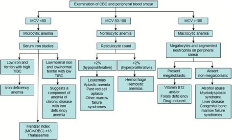 Types of normocytic anemia