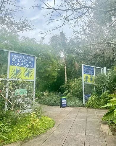 Miami Beach Botanical Garden: A Must-Visit For Nature Lovers