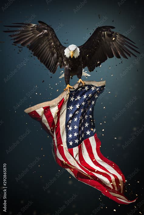 American Bald Eagle flying - symbol of america -with flag. United States of America patriotic ...