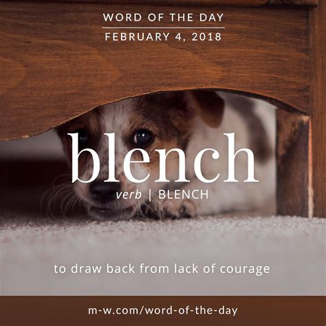 Today’s #wordoftheday is ‘blench’ . #language #merriamwebster # ...