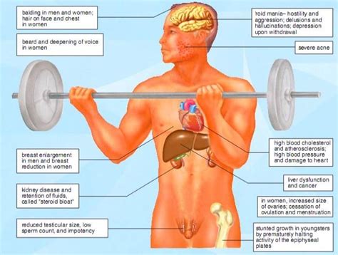 Side Effects Of Anabolic Steroids | Gain muscle fast, Anabolic steroid, Anabolic