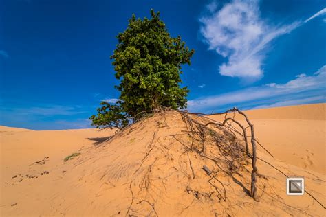 Mui Ne Sand Dunes