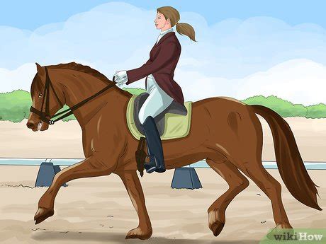 How to Canter on a Horse for the First Time: 8 Steps