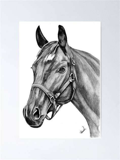 "Horse Portrait Graphic Pencil Drawing" Poster for Sale by collydavid ...