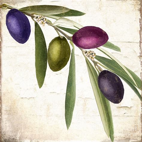 Olive Branch Painting by Mindy Sommers - Fine Art America