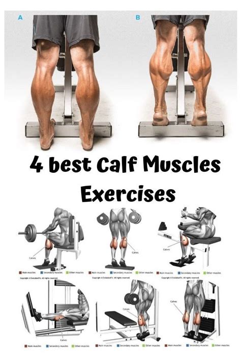 Pin by Ahammad Tausif Mayeen on Fitness | Calf muscle workout, Gym workouts for men, Leg ...