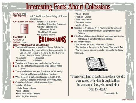 Interesting Facts About Colossians | Bible study verses, Bible study books, Bible study scripture