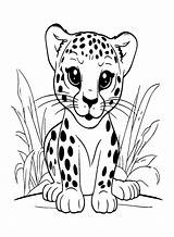 29 Leopard Coloring Pages  Free & Printable For Kids And Adults sketch template