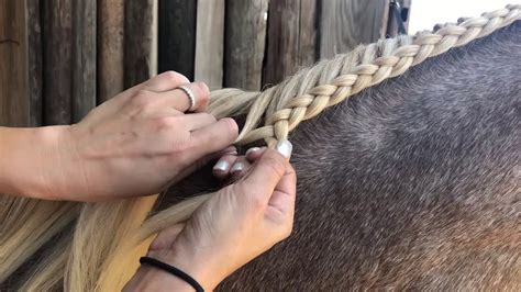 How To Braid Horse Mane: Expert Techniques & Styles | Horse Care Advisor