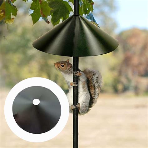 Amazon.com: squirrel baffles for bird feeders