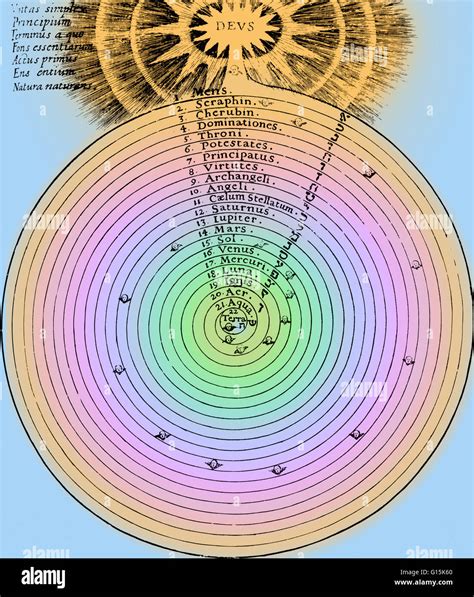 Color enhanced historical diagram illustrating the grafting of ...