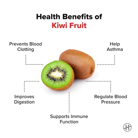 Kiwi Fruit – Benefits, Nutrition & Kiwi for Weight Loss – My Blog