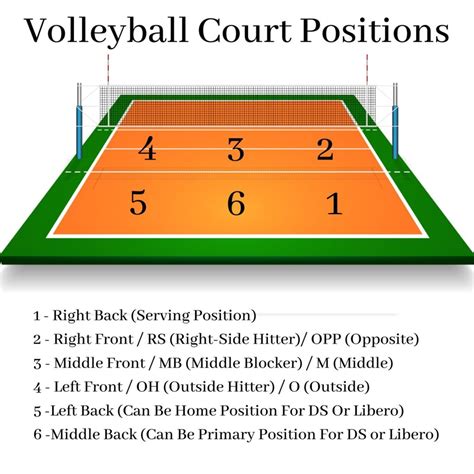 Girls Volleyball Positions: VB Player Positions + Numbered Court Positions Explained ...