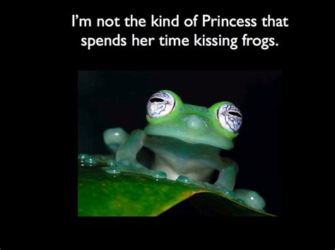 Kissing Frogs Quotes. QuotesGram