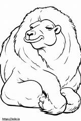 Bactrian Camel Sleeping coloring Page sketch template