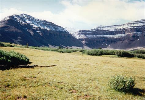 King's Peak, Utah - about 1/3 of the way to the high point. | Natural ...