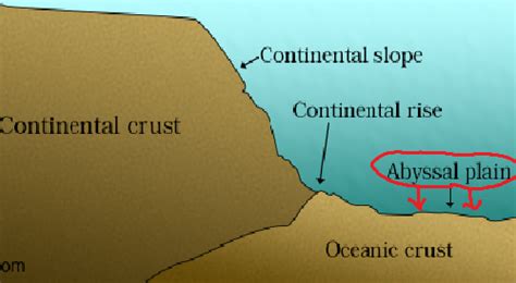 Abyssal Plain Diagram