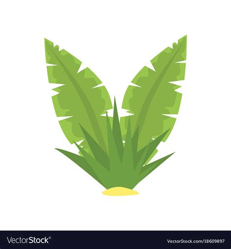 Fern green tropical leaves cartoon Royalty Free Vector Image