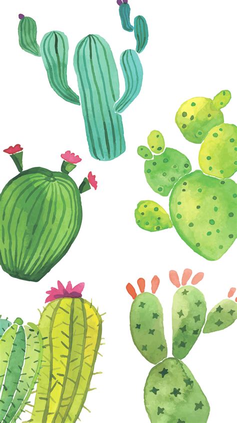 [300+] Cactus Wallpapers | Wallpapers.com