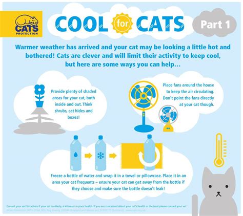 Keeping Cats Cool this Summer! Part 1 - Katzenworld