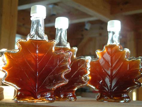 MapleSyrup