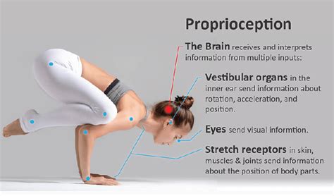 What is proprioception ? (Part 1) - Shamim Khan Physiotherapy