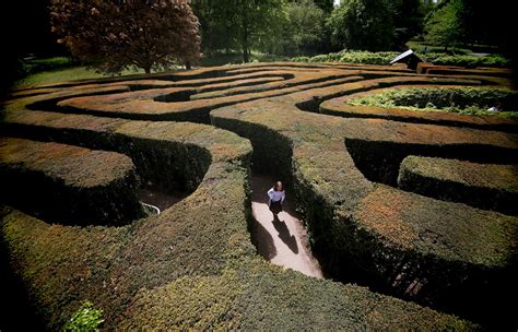 The lure of getting lost: why mazes draw us in