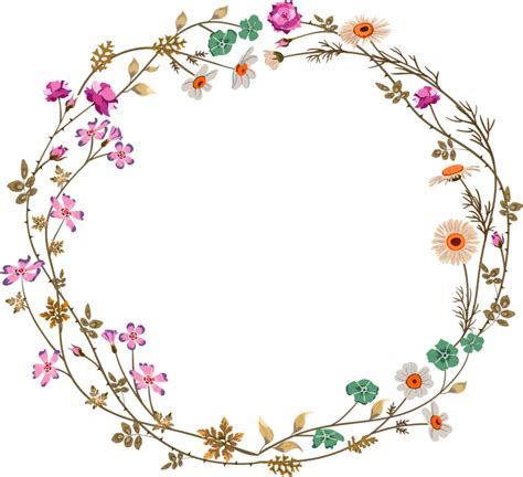 Colorful simplicity flower vine circle border texture png download - 800*730 - Free Transparent ...