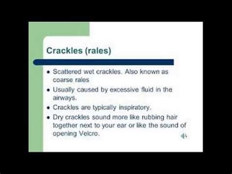 fine crackles - YouTube